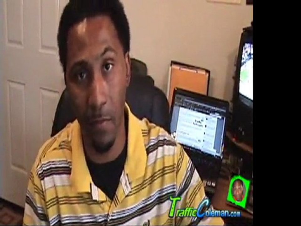 Traffic Exchanges Can Bring in 300k Visitors A Month