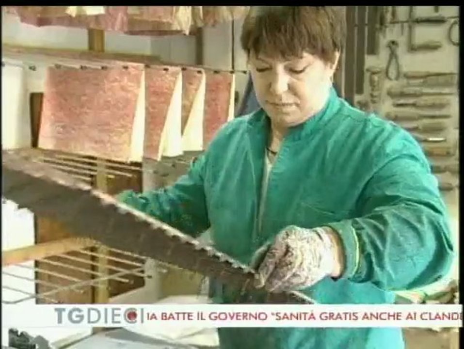 29 07 10 TG News Canale 10 Firenze