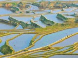 Rice Terraces of Yunnan - Great Attractions (China)