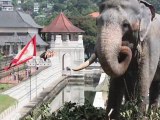 Tooth Temple - Great Attractions (Kandy, Sri Lanka)