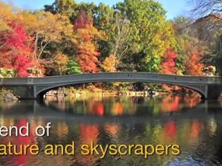 Download Video: Central Park in Fall - Great Attractions (New York City)