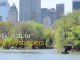 Boating in Central Park - Great Attractions (New York City)