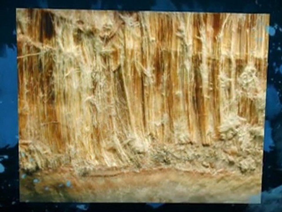 Asbestos Testing Compton