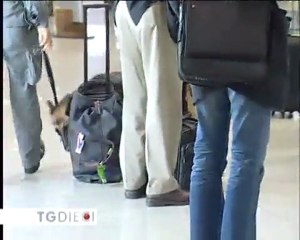 TG GIORNO 4/10/10 canale 10