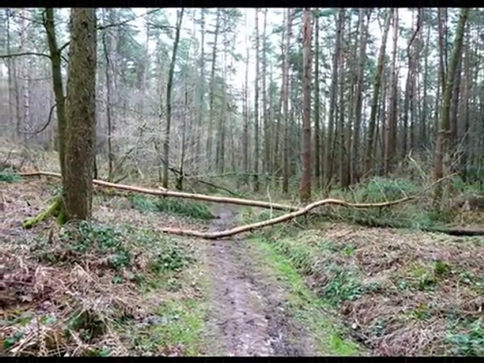 année 2011 - mois de février - nº 9