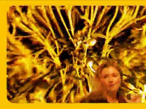 crazy lady - Casting JVSCAZ Saison #2