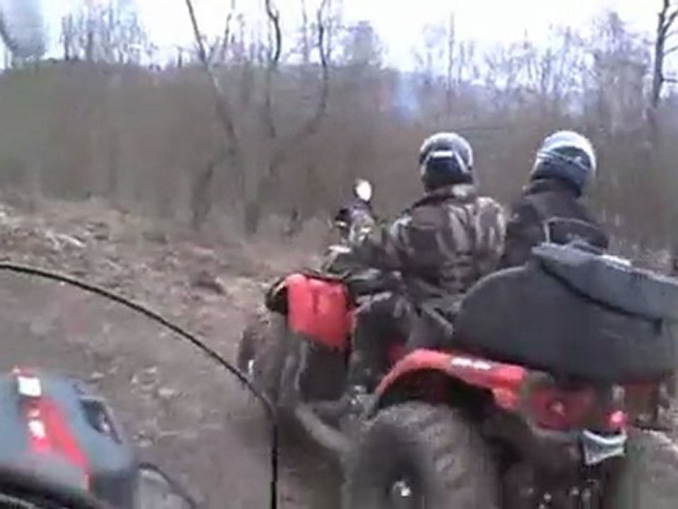VOSGES 03-2011