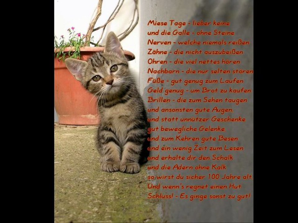 Sprüche zum Geburtstag