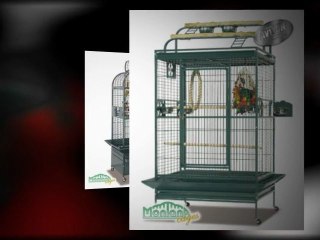 Perfect Parrot Cages For Your Beloved Parrot
