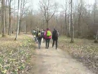 RANDO JONQUILLES 16 03 11