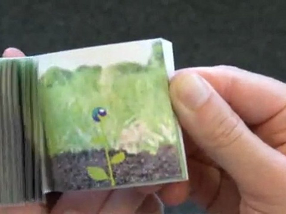 Graine de papier : le Clap Book