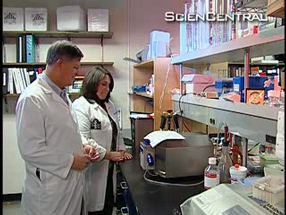 Diabetes drug Metformin linked to Alzheimers