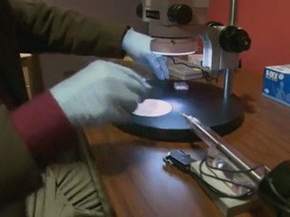 The World&#039;s Most Powerful Microscope