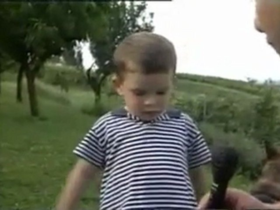 Najmlađi vinogradar u Hrvatskoj  (reportaža za poljoprivrednu emisiju '97)