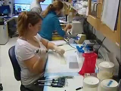 Gene Variant Doubles Risk of Developing Autism