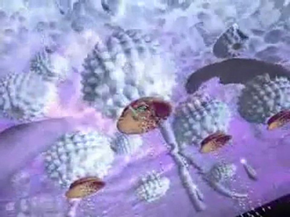 Neurons and How They Work