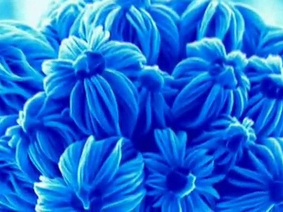 Concerns in a Nano World