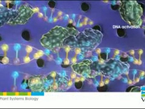 WOW! Pioneering research in Plant Biology