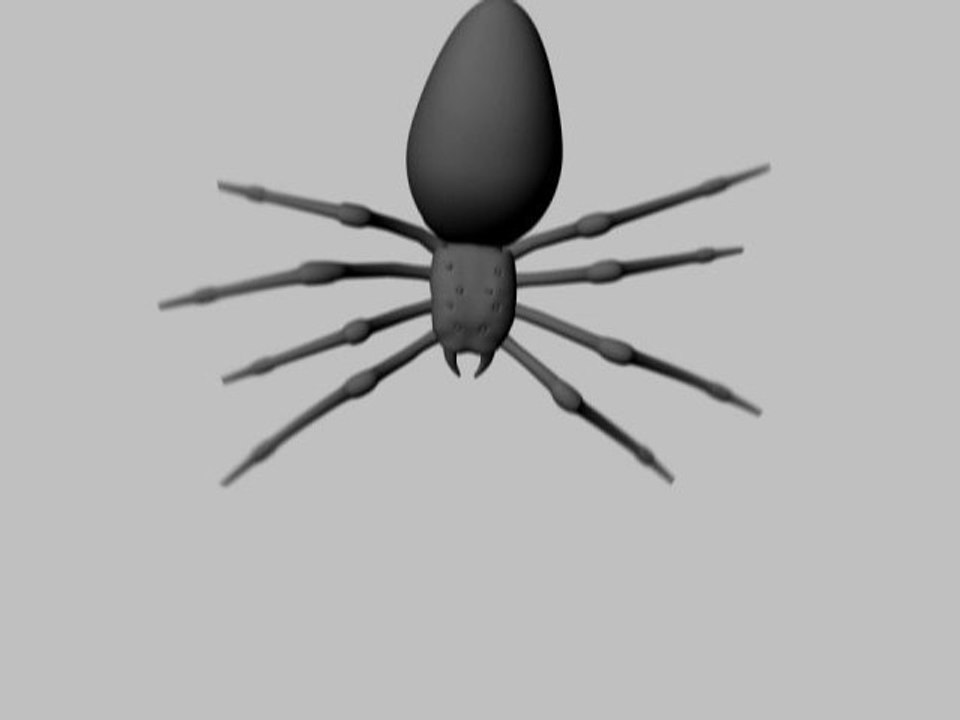 Spider
