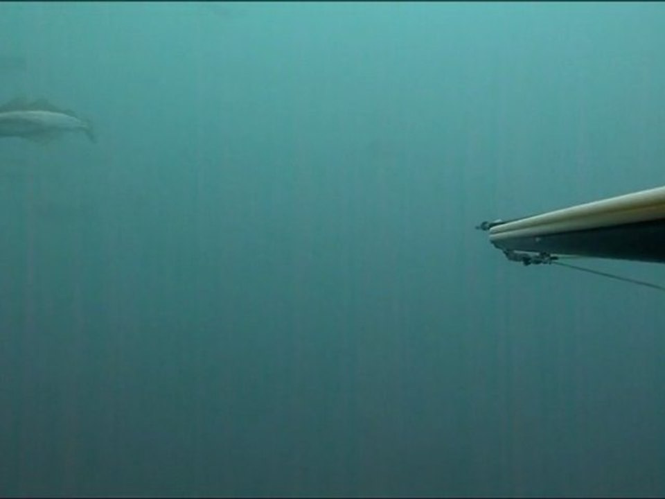 Test 2 TZ10 - les lieus sont bien là !!