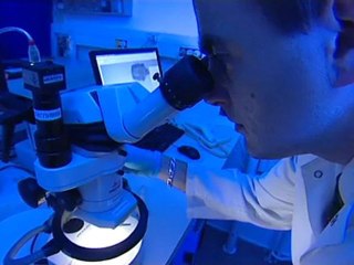 Ensemble contre la Délinquance - Gendarmerie