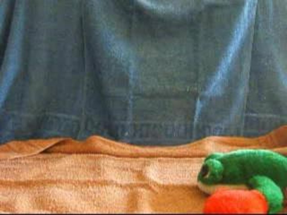 les aventures de super chien