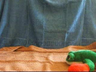 les aventures de super chien