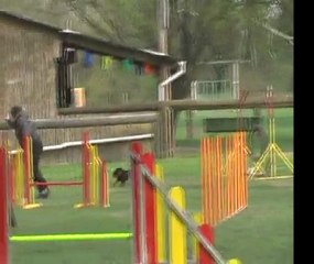 Flamme entrainement 8 mois demi