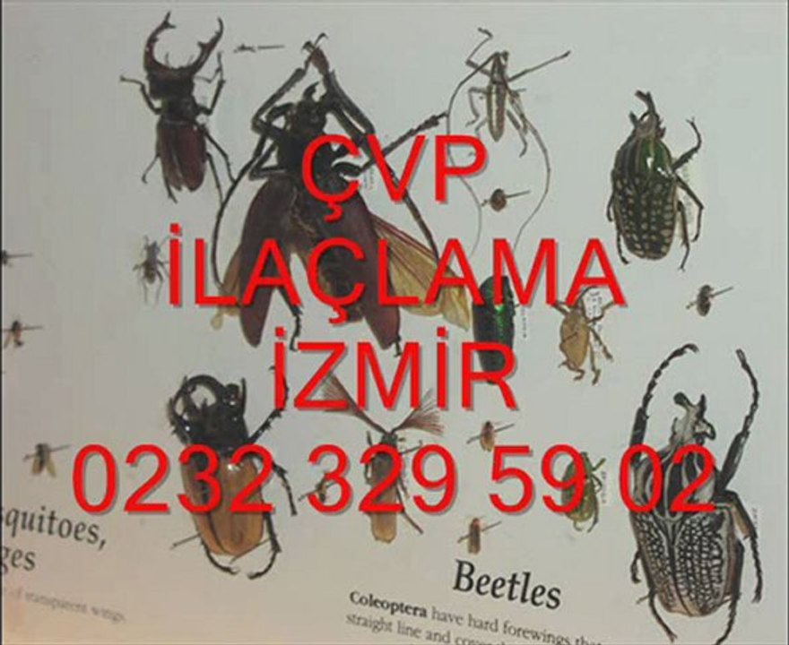 izmir haşere ilaçlama