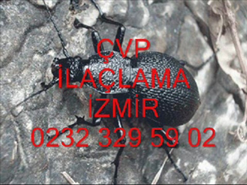 izmir ilaçlama İZMİR İLAÇLAMA