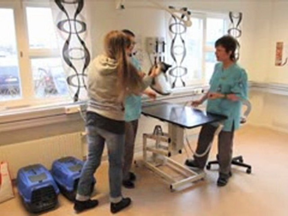 Veterinär Kristianstad Veterinärmottagning, ...