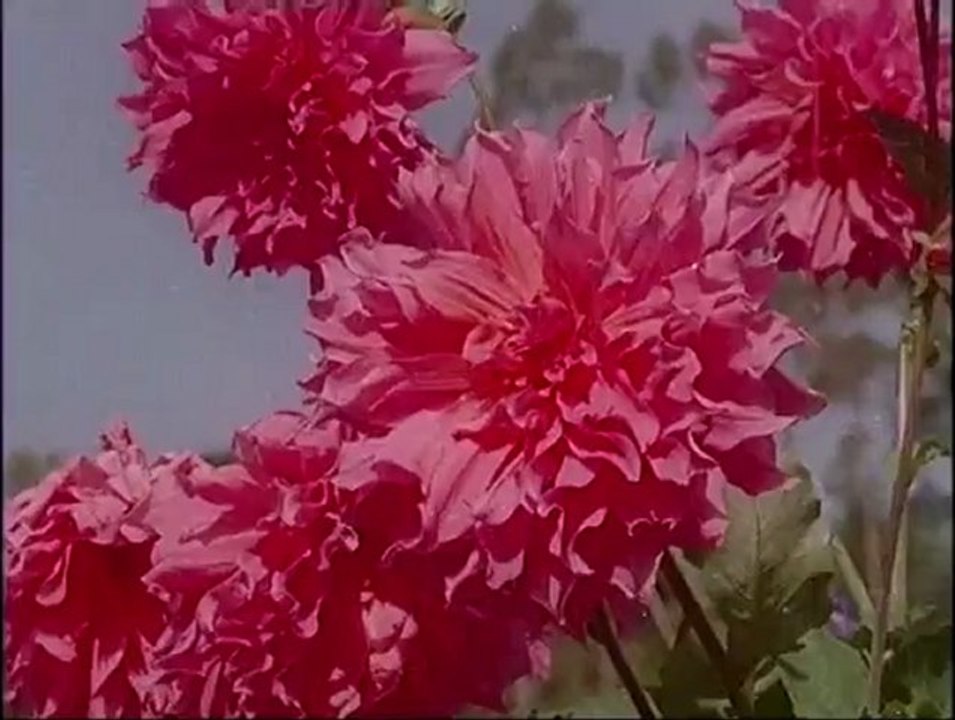 Chandan Ka Palna 4/13 - Bollywood Movie - Meena Kumari, Dharmendra, Mahmood, Mumtaz