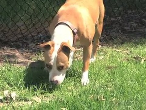 Transportable Homes Dandenong South Willow Grove Homes ...