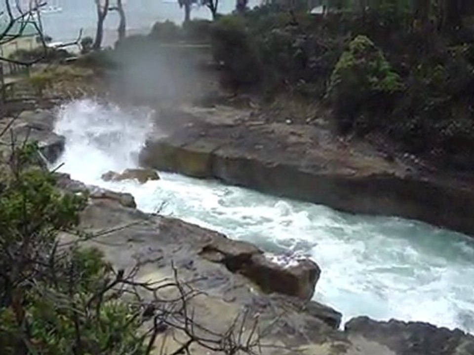 Tasman Blowhole, Tasman National Park