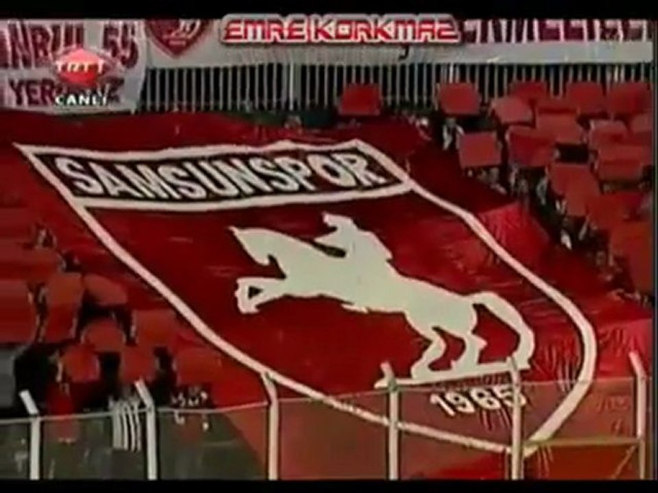 Samsunspor 2011