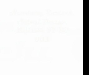 Hamburg-Rostock Seferi Omsan Lojistik