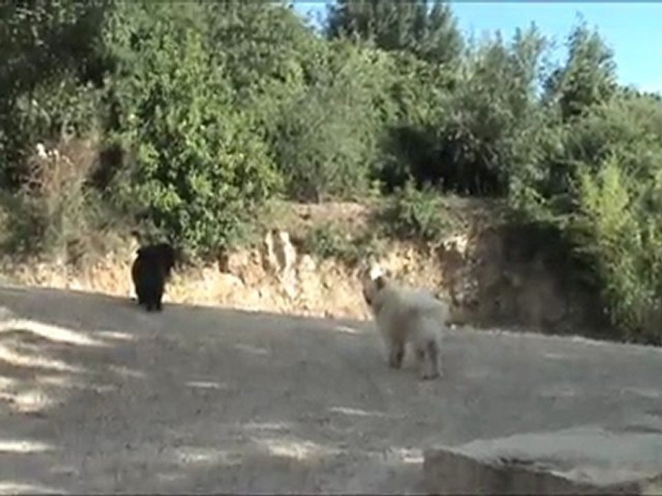 Le Domaine de Pioch Esqui