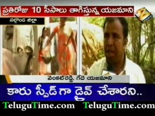 Alcholic Buffalo in Nalgonda dist - focus - TeluguTime.com