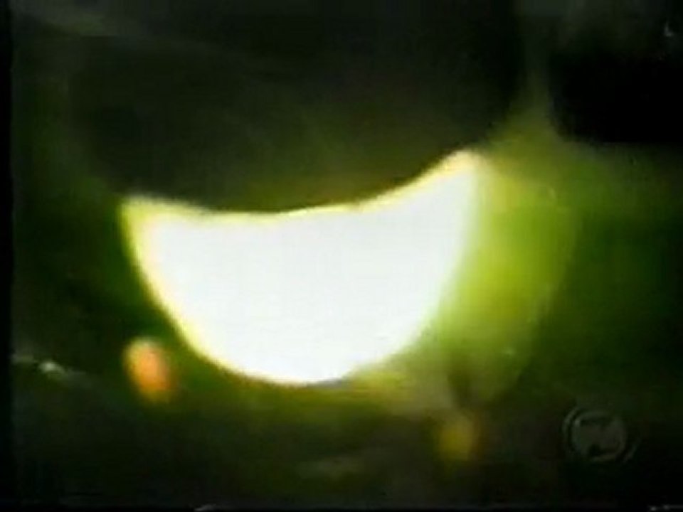 petitscarabe_924982e30313eb1