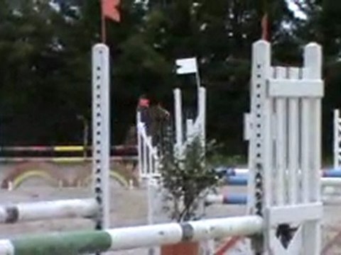 sandillon mars 2011 Grand Prix 1m05