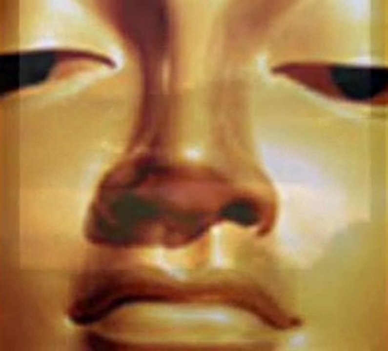 Momentum Coaching & Yoga