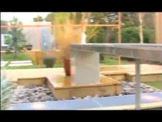 Créer jardin aquatique, aménager un bassin ...