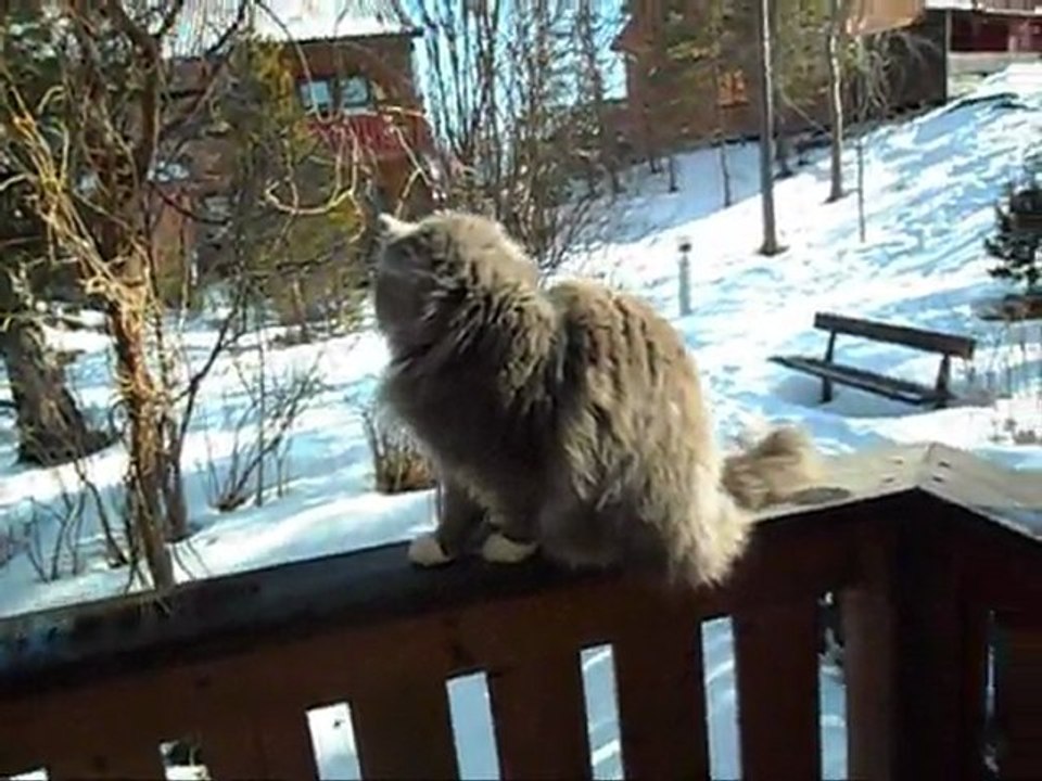 Film på Revis 19 Mars - 11. Med musik.