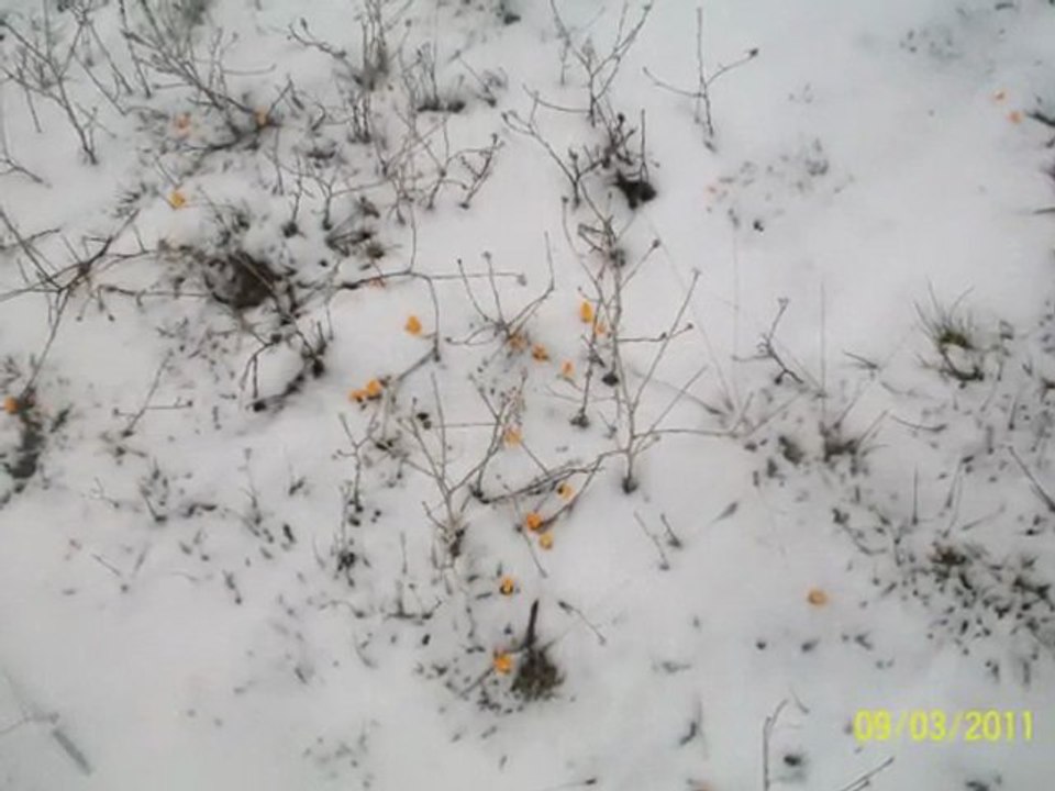 Kış Manzarası (Yaycılar köyü) ŞAKİR ATİK