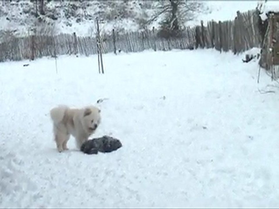La neige