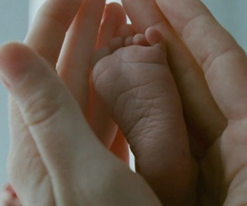 THE TREE OF LIFE - Trailer PT