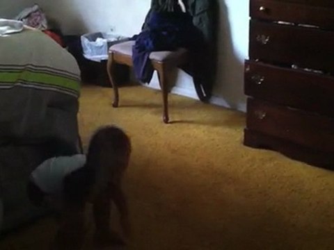 Jack Dancing To The Wiggles