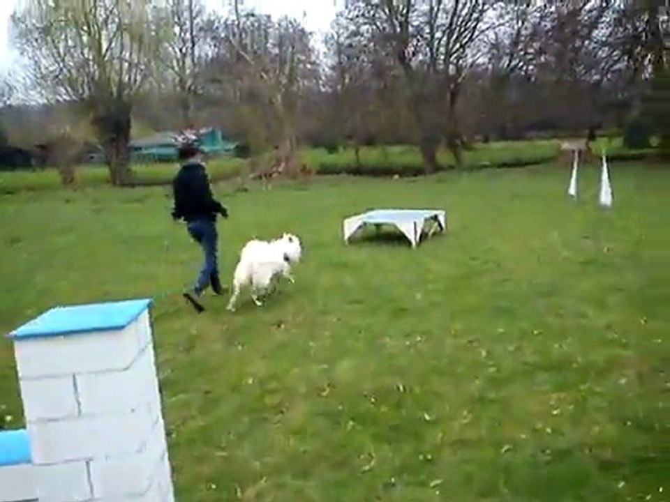 Easy agility