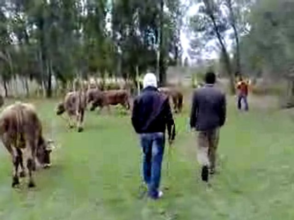 sivas yıldızeli bayat köyü- Yıldızeli Bayat Köyü Video_7