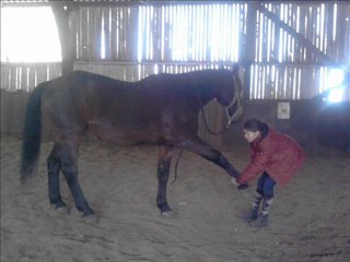 hove boy, celui qui a reussi la ou les autres ont echoues !